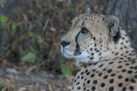 Cjp_2011_08_01_083116 (2).jpg